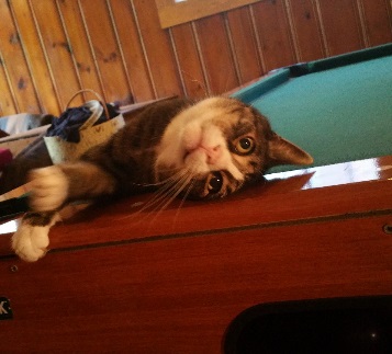 20150723_130154.jpg