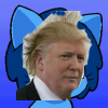 photo-2142.png