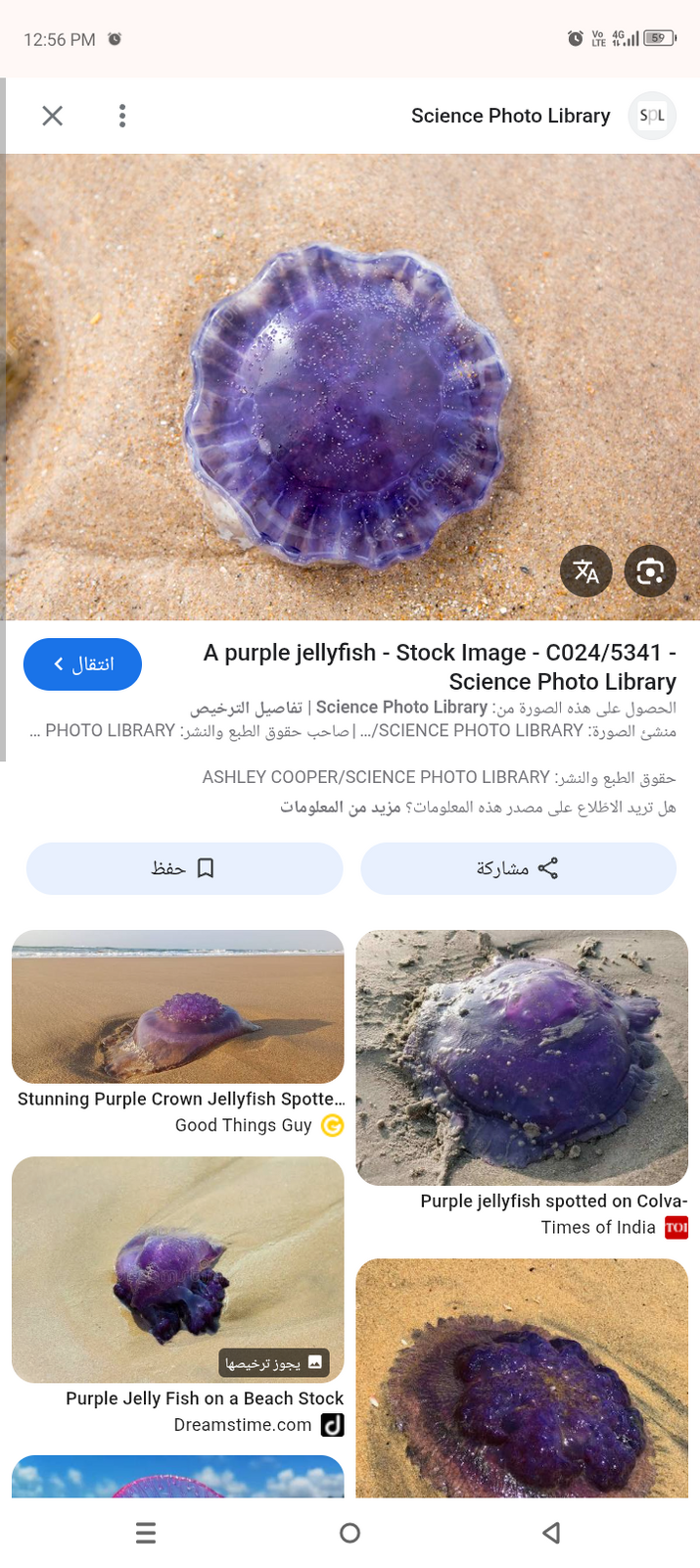 Screenshot_20251219-125643.png