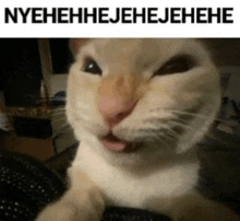 Evil Cat.gif
