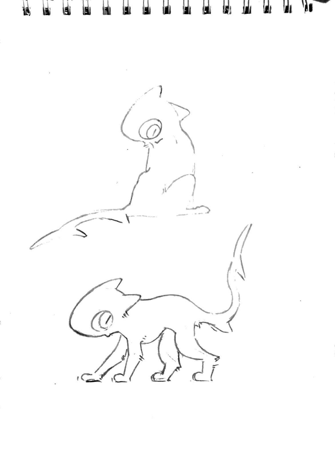 1784656926295.png