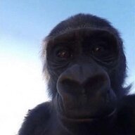 Freako_Monkey