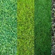 Thegrassman