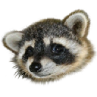 Shirleyxml