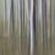 half-life213