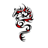 Zondoragon