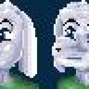 Mimiga Story Face Files
