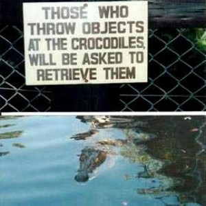 I lol'd at this one.