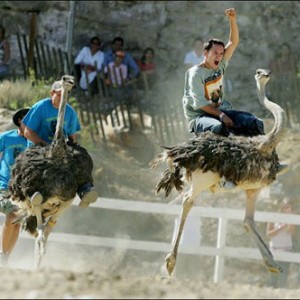 This picture is absolutely 100% real. http://en.wikipedia.org/wiki/Ostrich#Racing in case you don