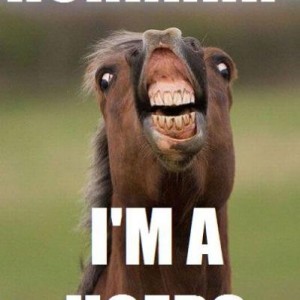 Moar animal lols!