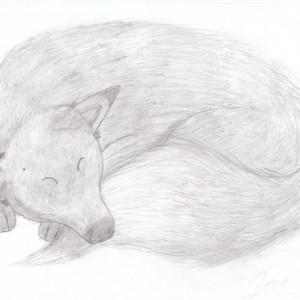 Fox:
I used my dog for a model for this. :) It turned out pretty well considering it wasn't line art. The effects of the fur look nice.