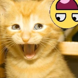 Awww, my very first MG avatar.