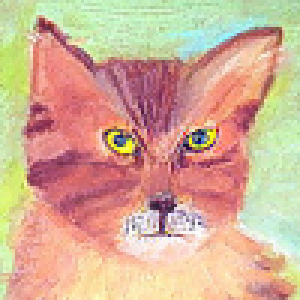 Peter the Kitty