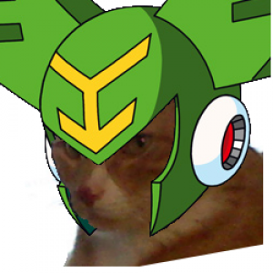 28th Avatar