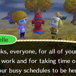 Animal Crossing: New Leaf 01
