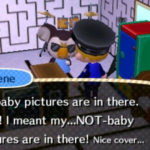 Animal Crossing: New Leaf 02