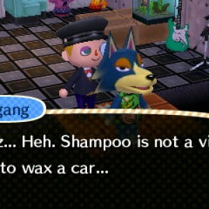 Animal Crossing: New Leaf 03