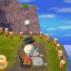 Animal Crossing: New Leaf 05