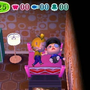 Animal Crossing: New Leaf 06