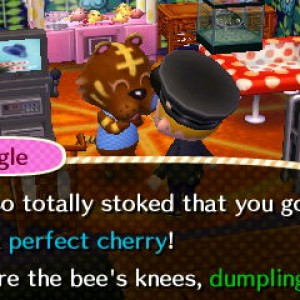 Animal Crossing: New Leaf 07