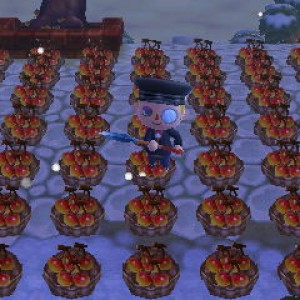 Animal Crossing: New Leaf 08