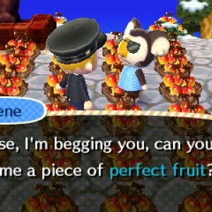 Animal Crossing: New Leaf 09