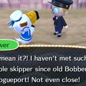Animal Crossing: New Leaf 10