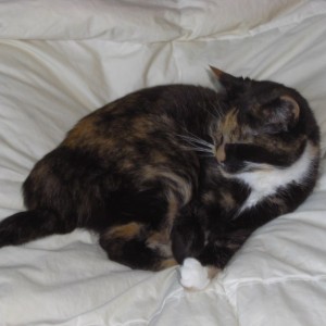 Dozing Off
