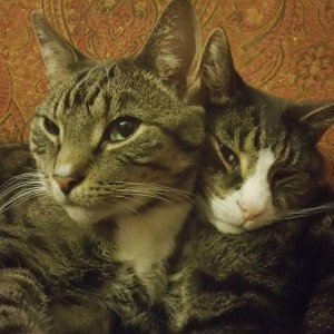 Best Buds