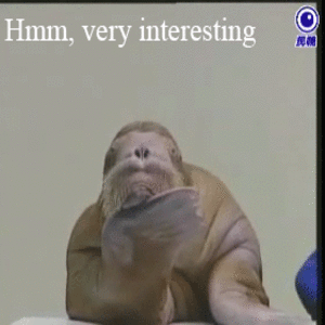 Me when someone discusses lore about somthing i don't  care about
