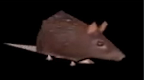 23446.jpg