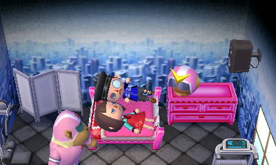 Animal Crossing: New Leaf 04