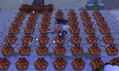 Animal Crossing: New Leaf 08