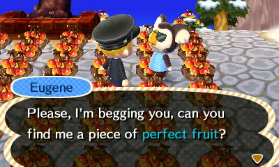Animal Crossing: New Leaf 09