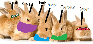 bunny