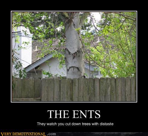 Don't cross him.