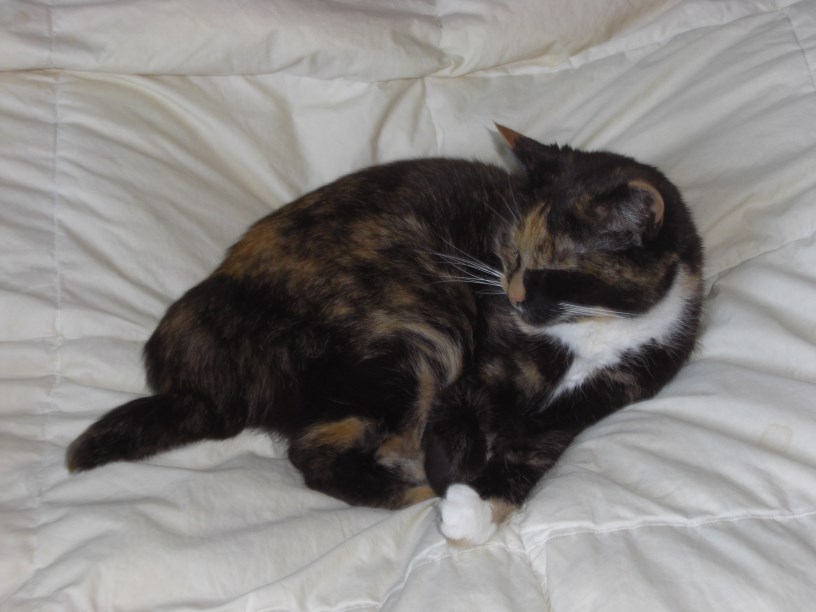 Dozing Off
