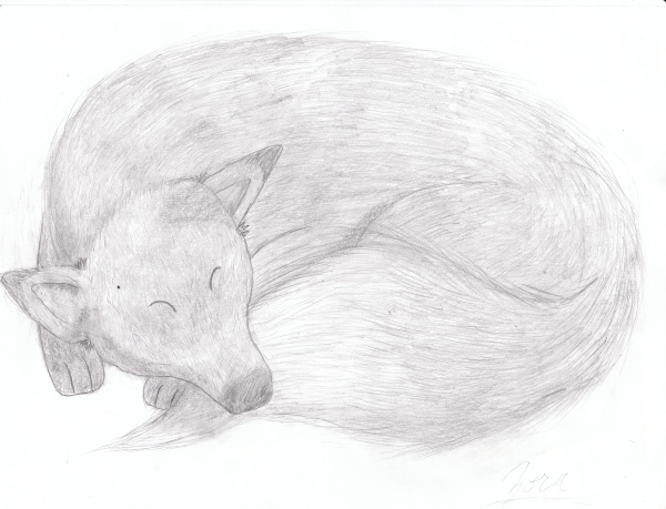 Fox:
I used my dog for a model for this. :) It turned out pretty well considering it wasn't line art. The effects of the fur look nice.