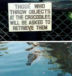 I lol'd at this one.