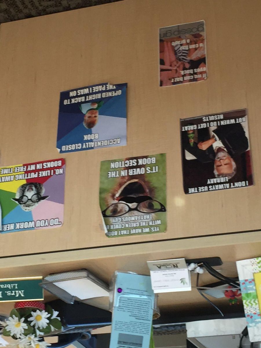 My Public Library